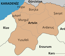 Artvin ambarı