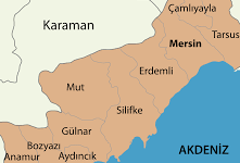 Mersin ambar