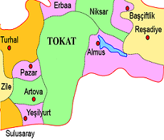 Tokat ambar